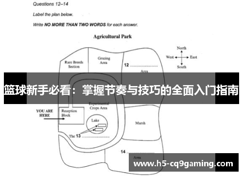 篮球新手必看：掌握节奏与技巧的全面入门指南