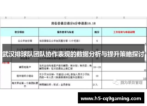 武汉排球队团队协作表现的数据分析与提升策略探讨