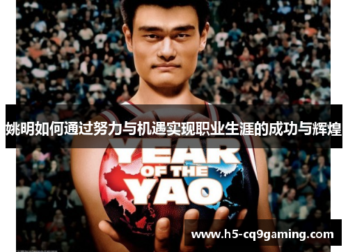 姚明如何通过努力与机遇实现职业生涯的成功与辉煌