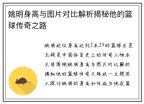 姚明身高与图片对比解析揭秘他的篮球传奇之路